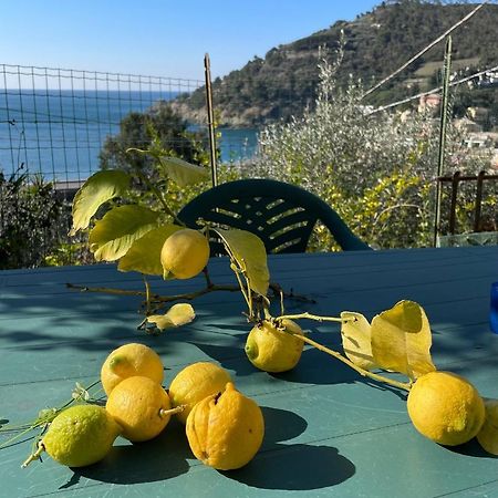 Apartamento Cozy Beach House With Nice Garden, Basic Feel Bonassola Exterior foto