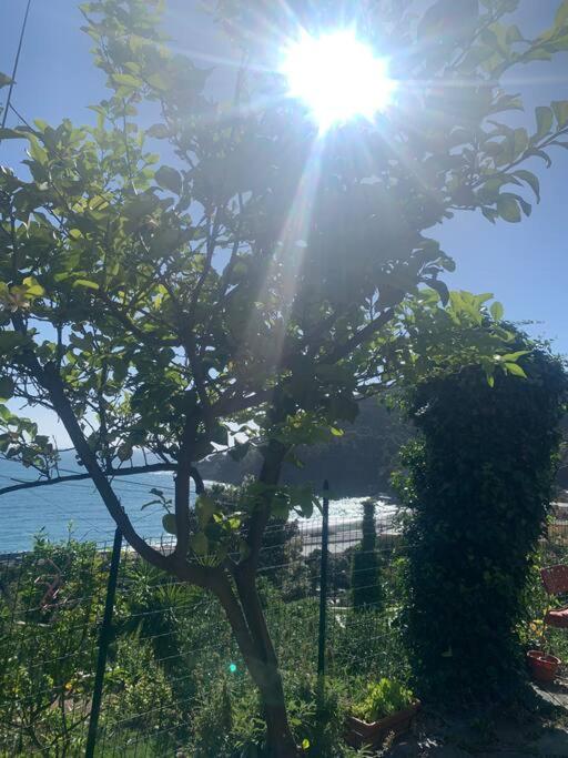 Apartamento Cozy Beach House With Nice Garden, Basic Feel Bonassola Exterior foto