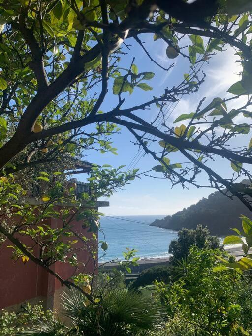 Apartamento Cozy Beach House With Nice Garden, Basic Feel Bonassola Exterior foto