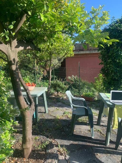 Apartamento Cozy Beach House With Nice Garden, Basic Feel Bonassola Exterior foto